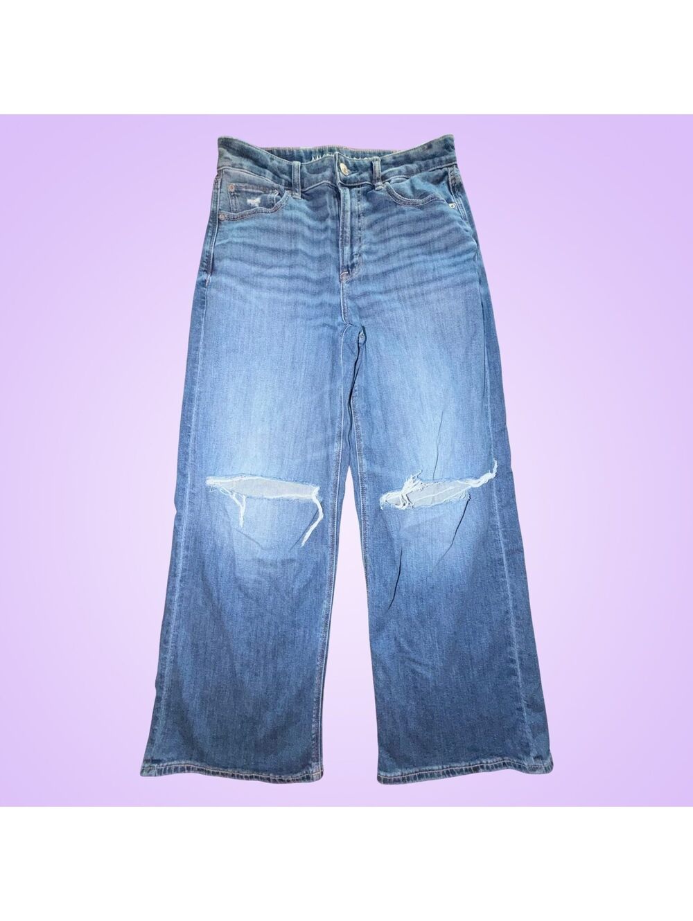 American Eagle Stretch Distressed Wide Leg Jeans Size 6 Short